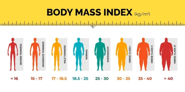 Obesity Chart